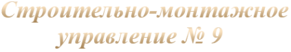 Логотип компании СМУ №9