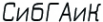 Логотип компании СИБГАИК