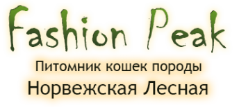 Логотип компании Fashion Peak