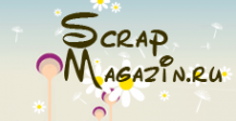 Логотип компании ScrapMagazin.ru