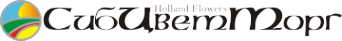 Логотип компании СибЦветТорг