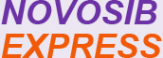 Логотип компании Новосибэкспресс