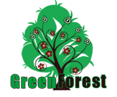 Логотип компании ГринФорест
