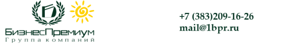 Логотип компании БизнесПремиум
